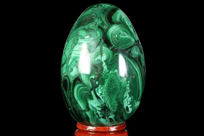 Stunning Polished Malachite Egg - Congo #89652